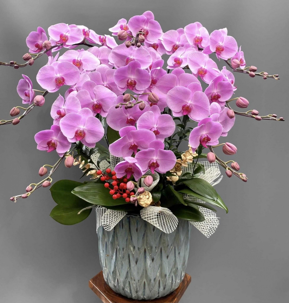 Hoa lan hồ điệp 9 cành - HD0111