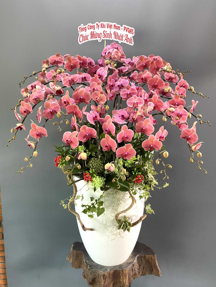 Hoa lan hồ điệp từ 15 cành - HD0074