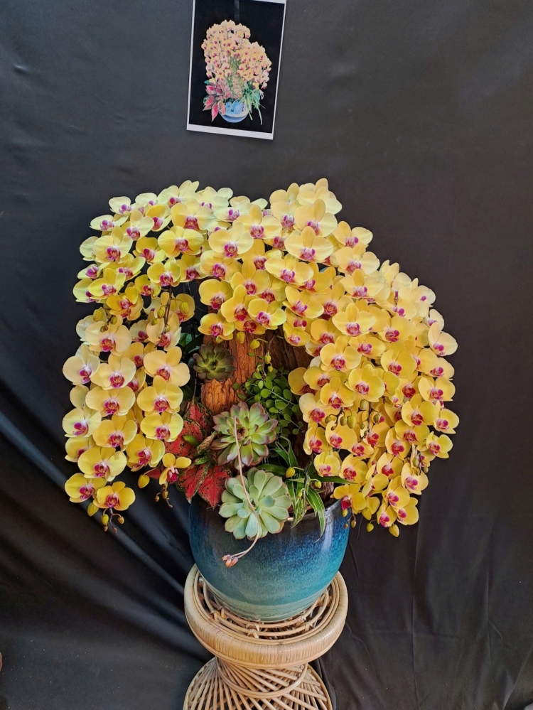 Lan Hồ Điệp Vàng Cắm Lũa Cao Cấp - LHD423