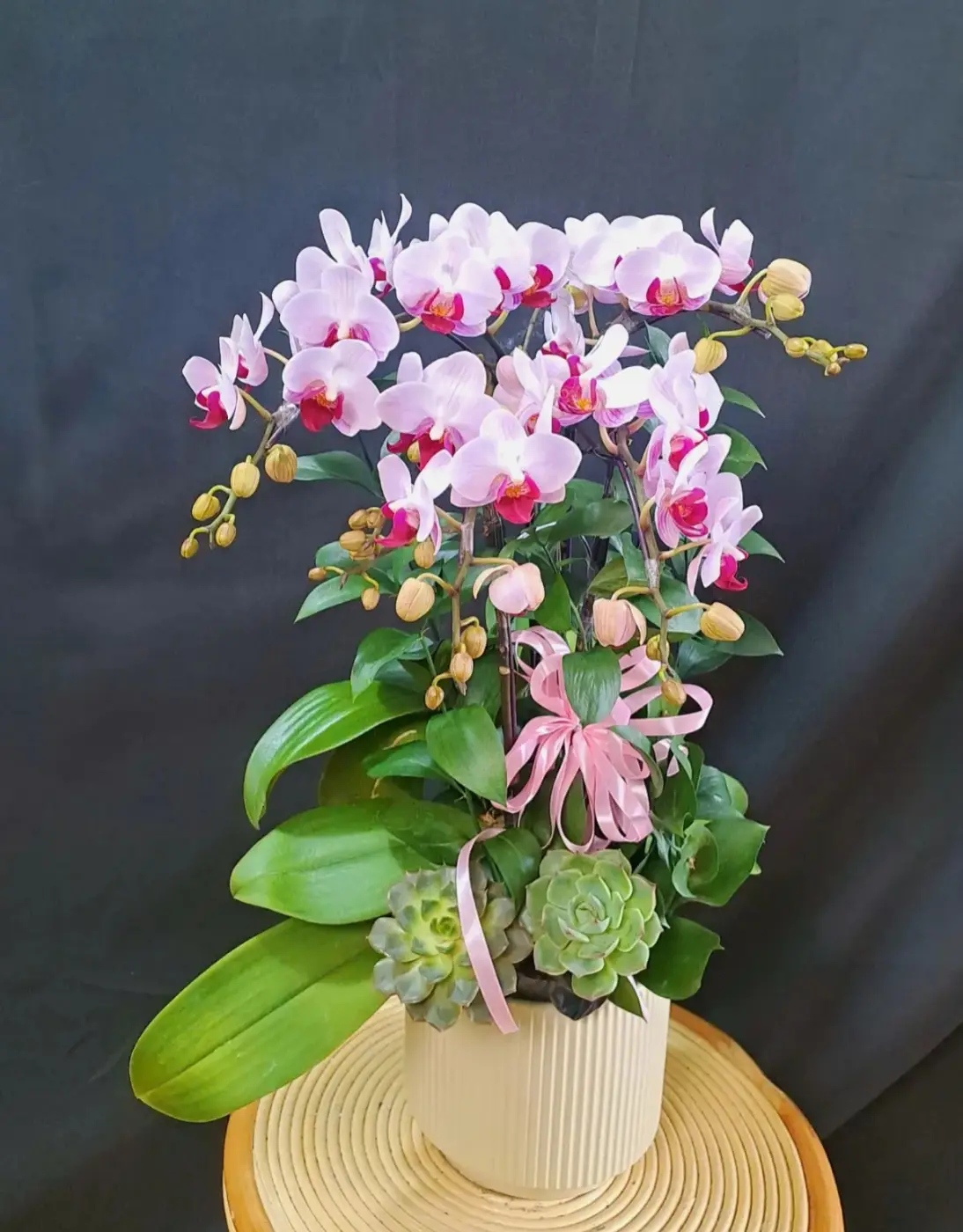 Hồng Phấn An Nhiên