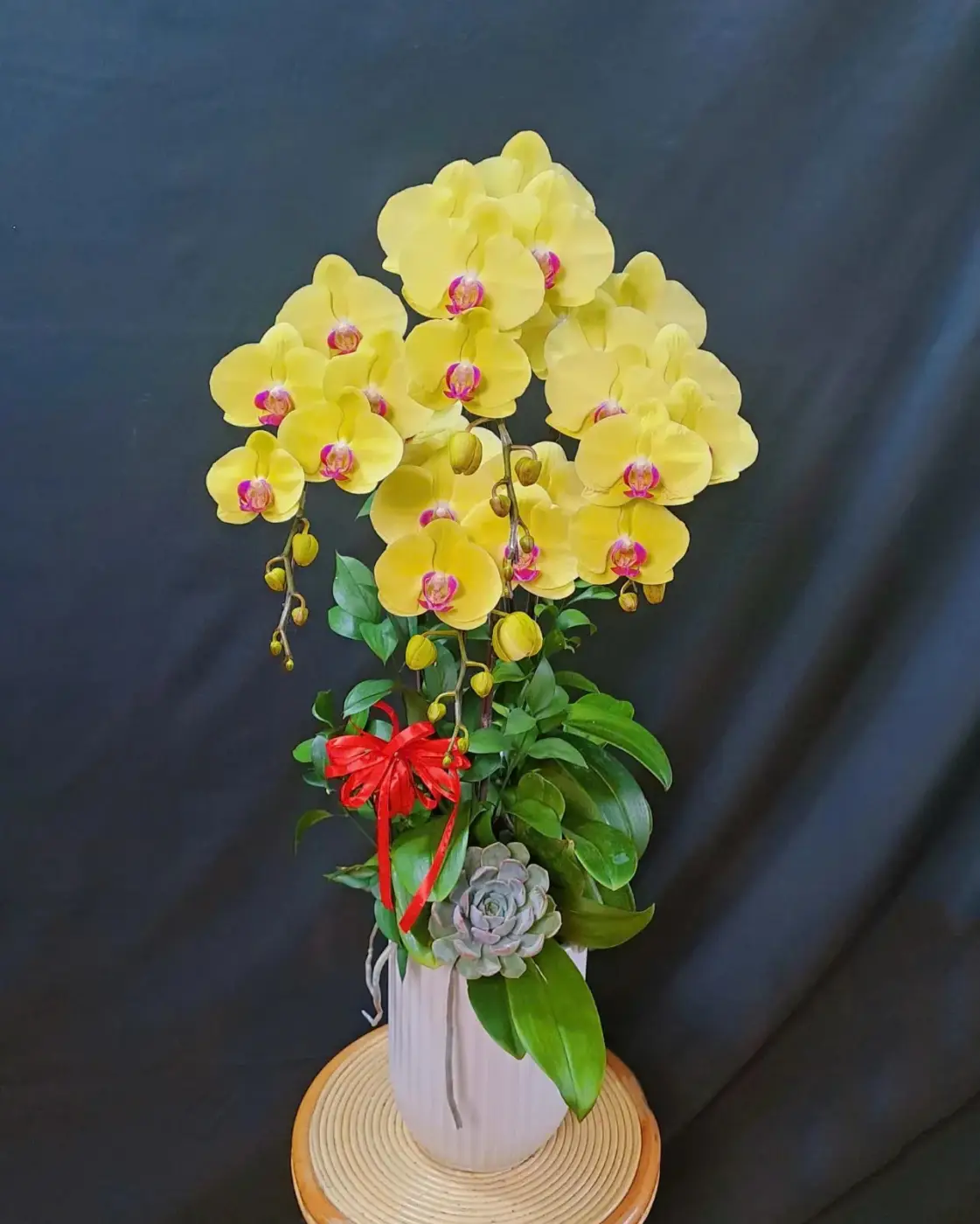 Kim Hoàng Phú Quý