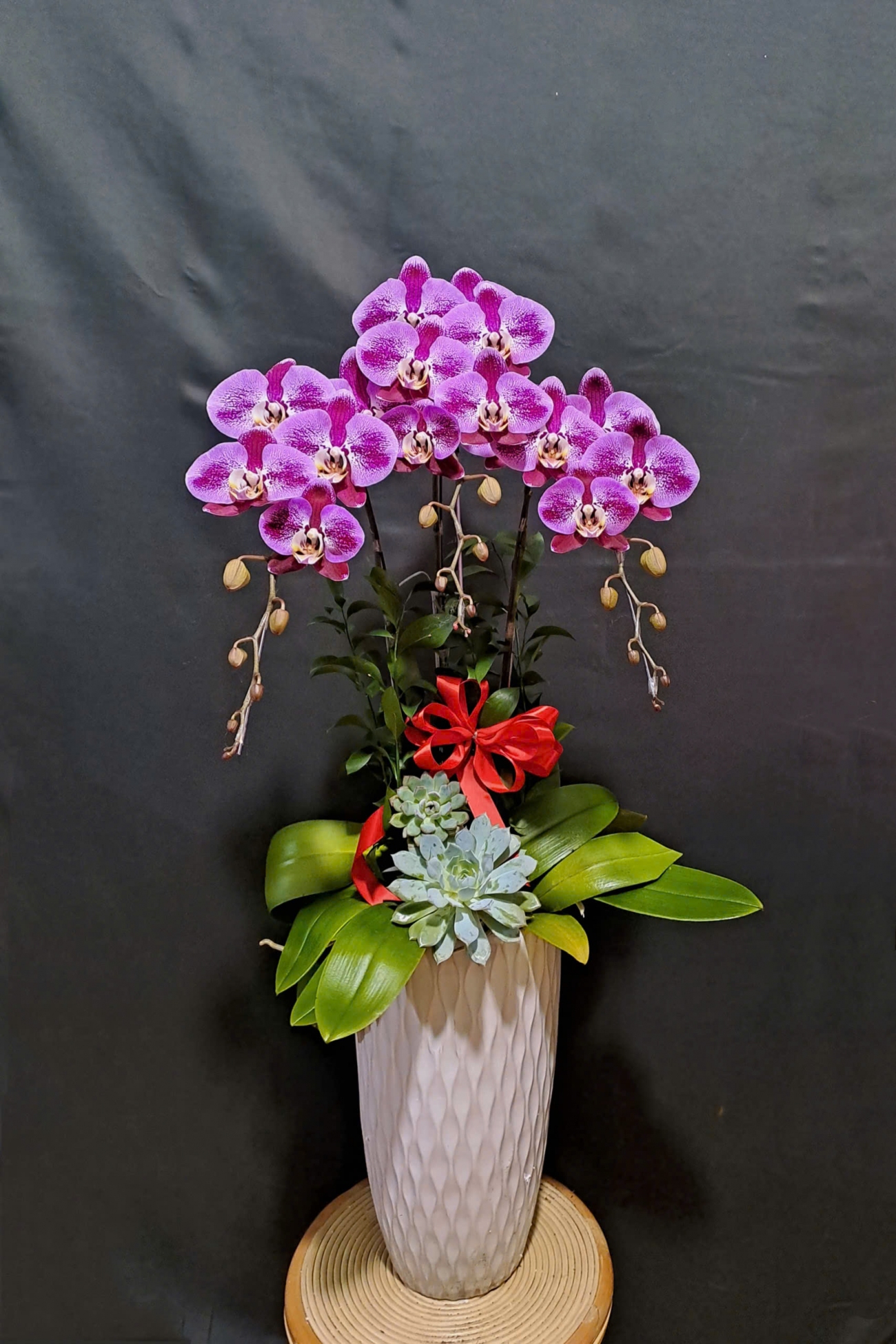 1784194317463 8592983406964764681 g1093845264745358951 e7c53fa3af7c95b5eeebde56e1d1d496