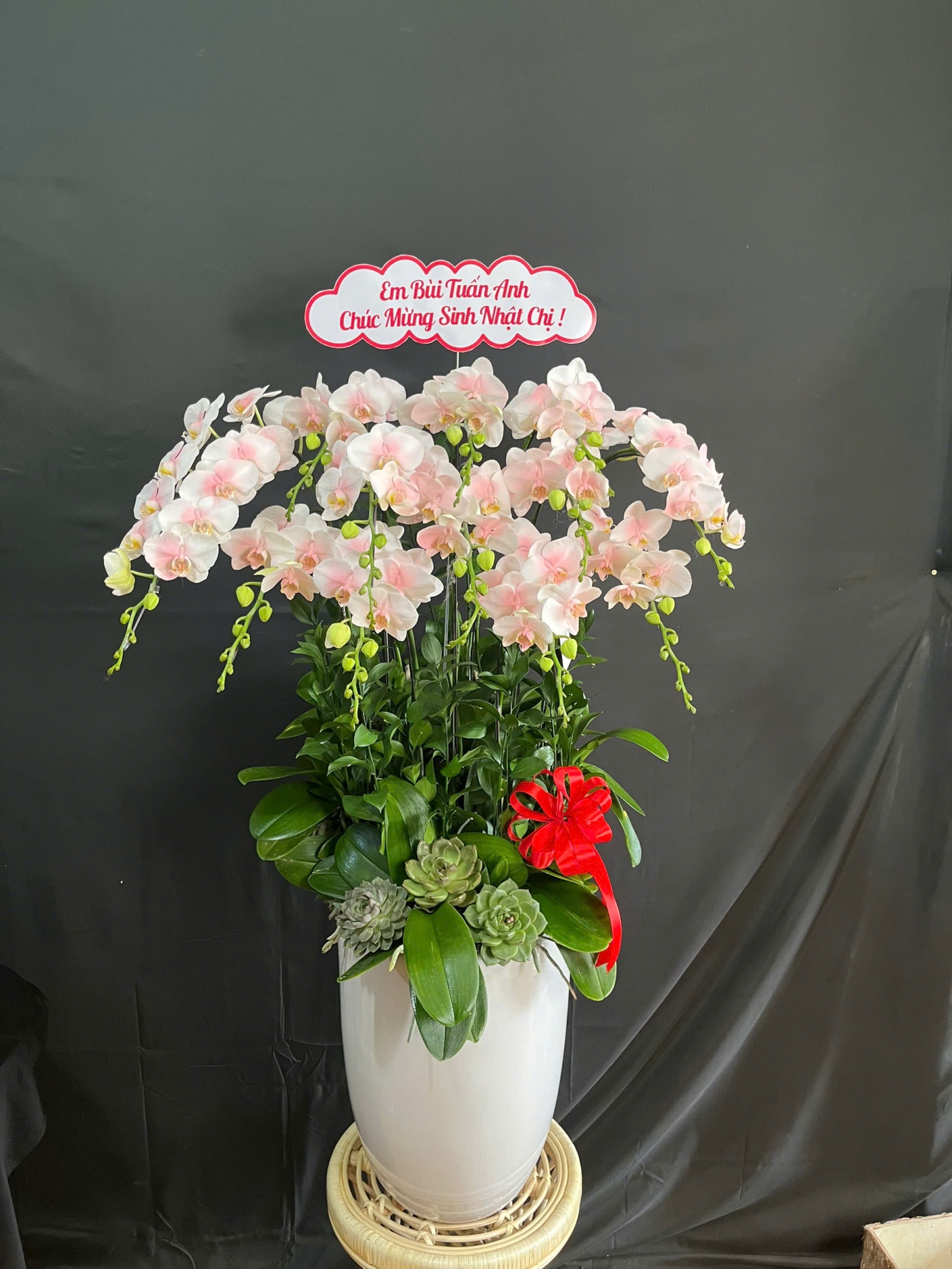 Lan Hồ Điệp Ngọc Hồng - LHD089