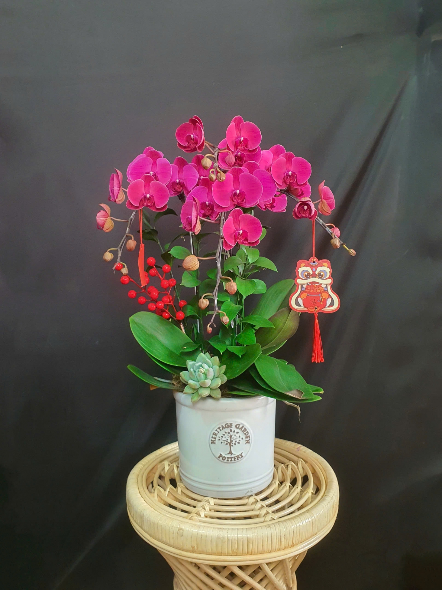 Lan Hồ Điệp Hồng Lộc - LHD226