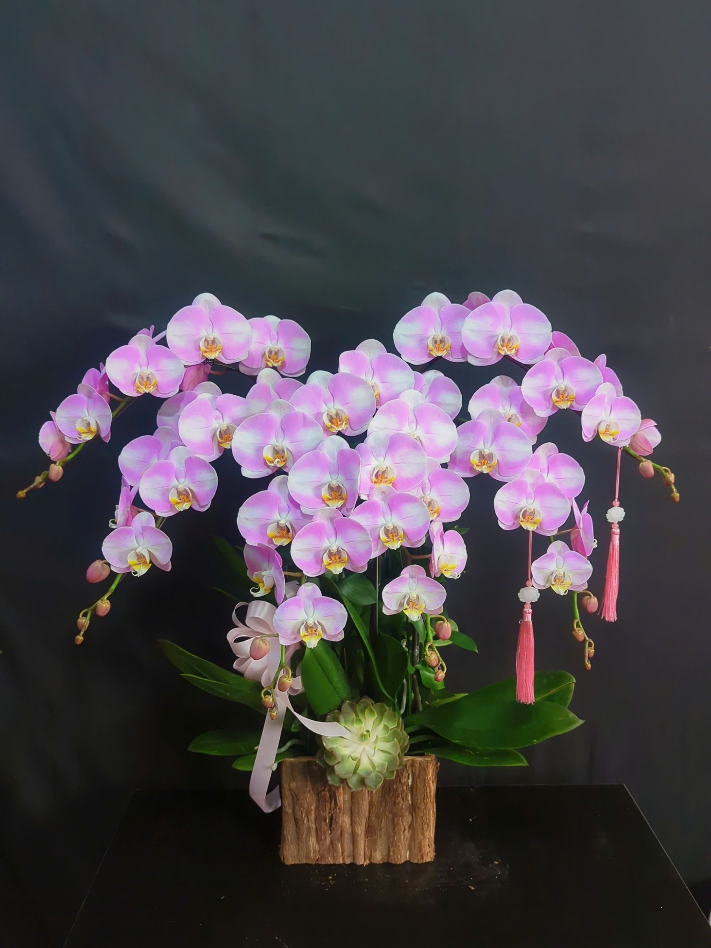 Lan Hồ Điệp Bạch Hồng Duyên - LHD205