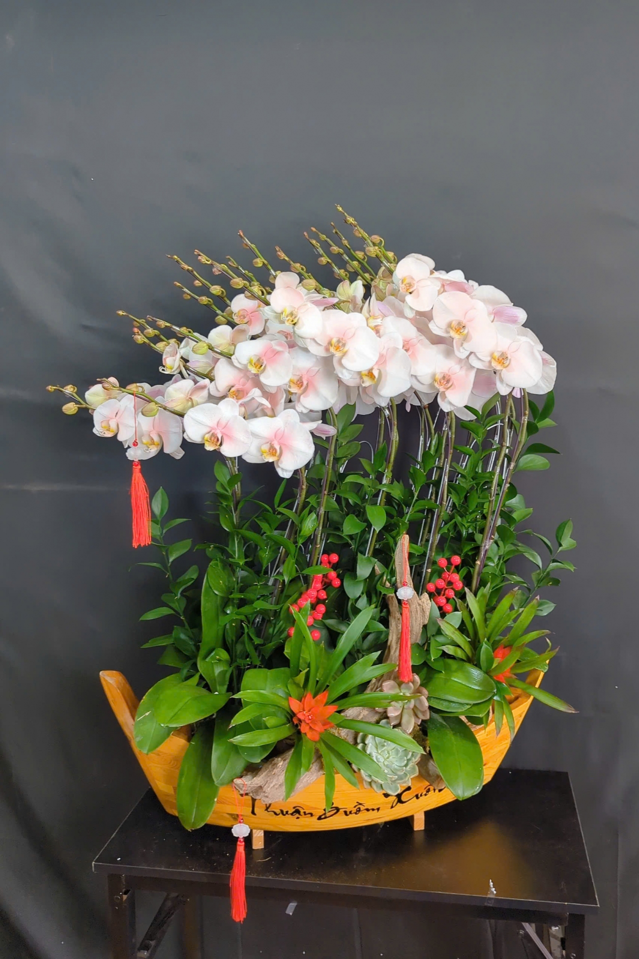 Lan Hồ Điệp Cắm Thuyền - LHD369