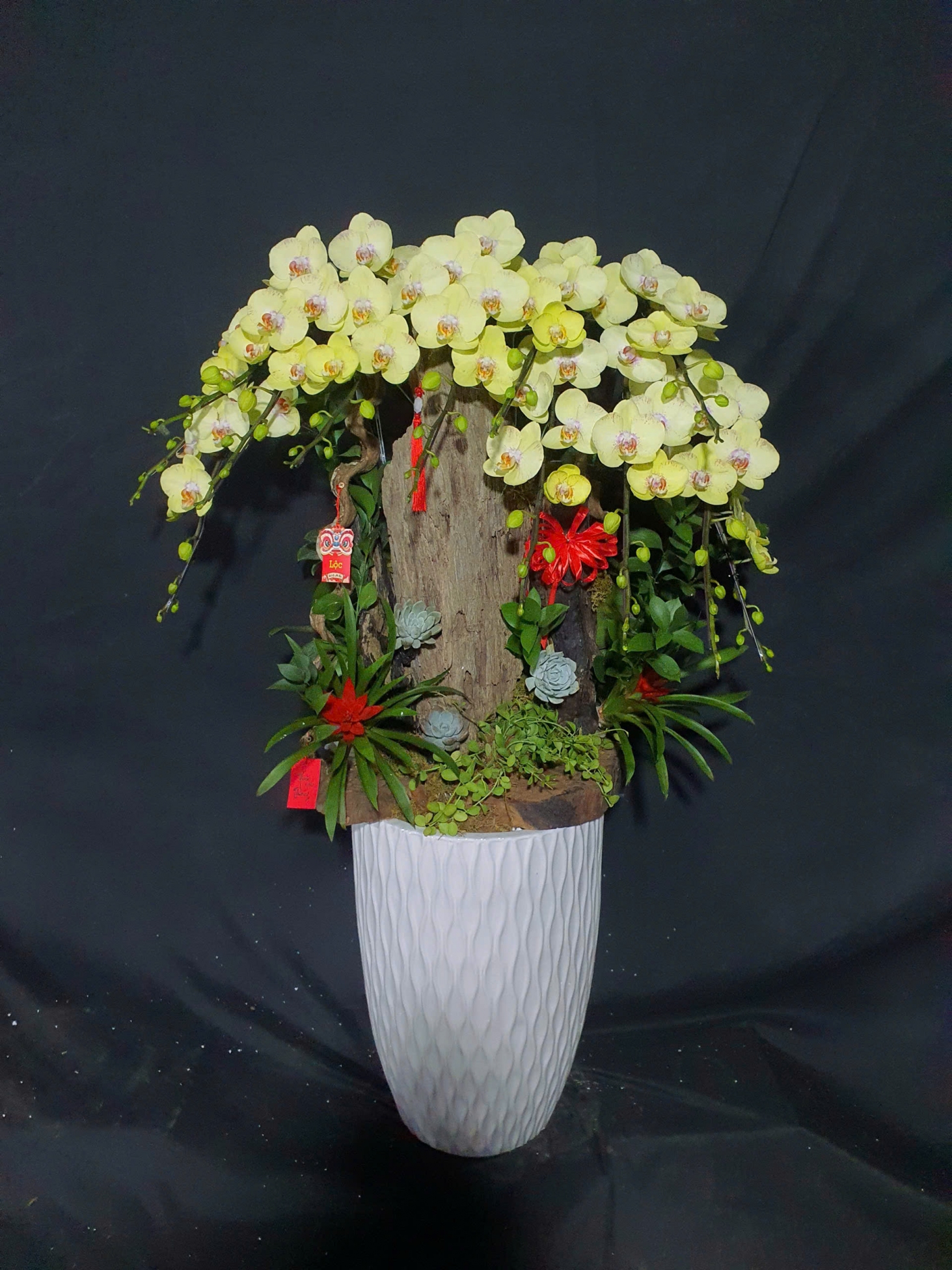 Lan Hồ Điệp Xanh Bơ Mix Lũa Cao Cấp - LHD372