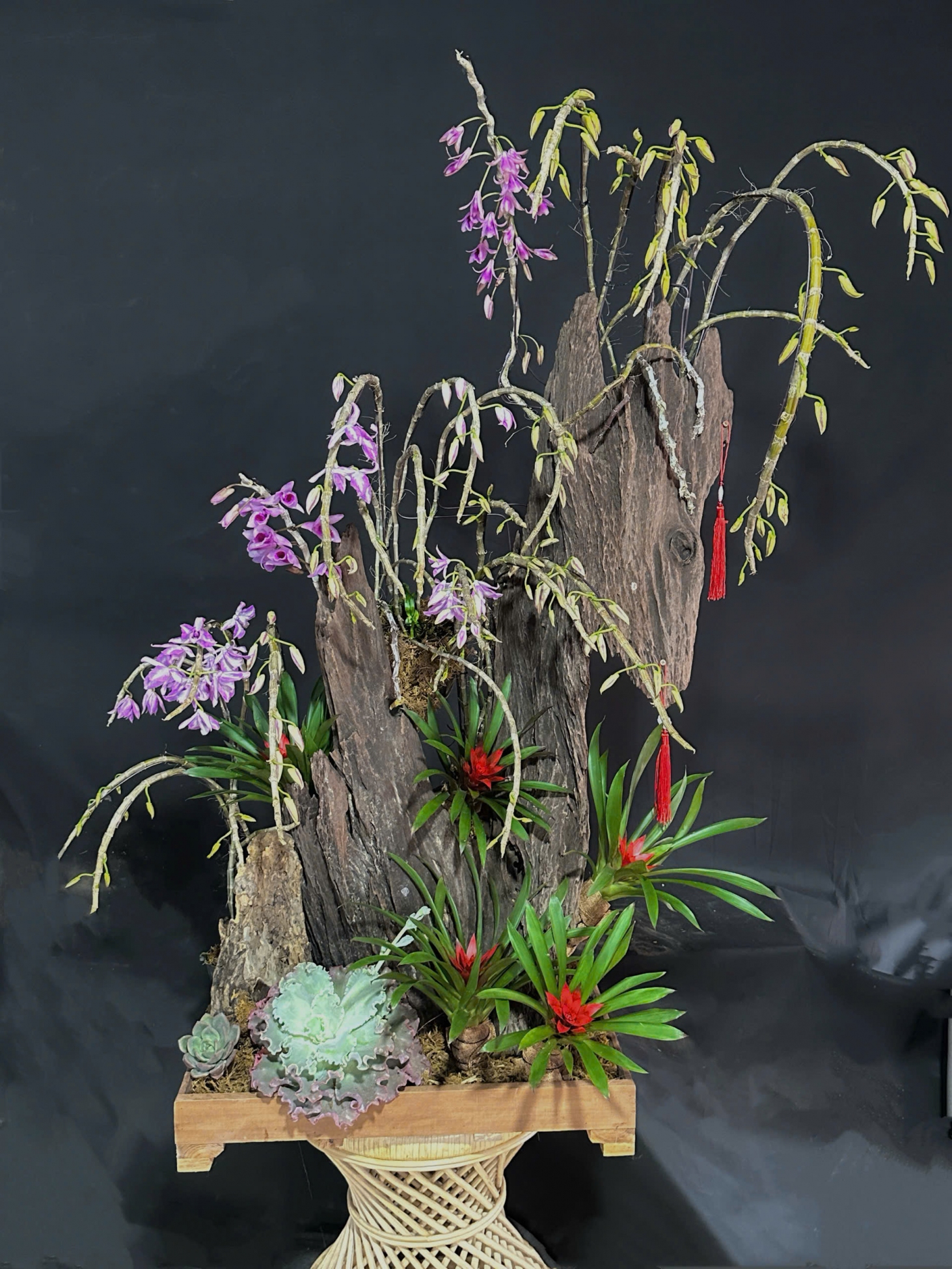 Lan Rừng Phi Điệp Trầm Mĩ Mix Lũa - LR388